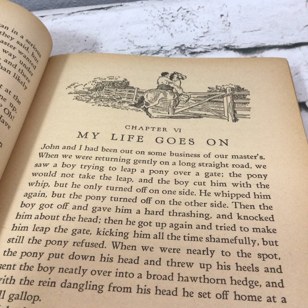 The Big Big‎ Story Book Black Beauty Heidi-Hans Brinker 1938 Vtg Whitman